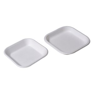 Plain Square Plate
