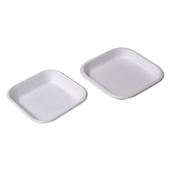 Plain Square Plate