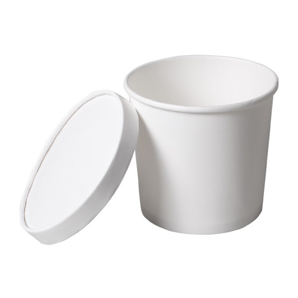 Medium Size Food Container