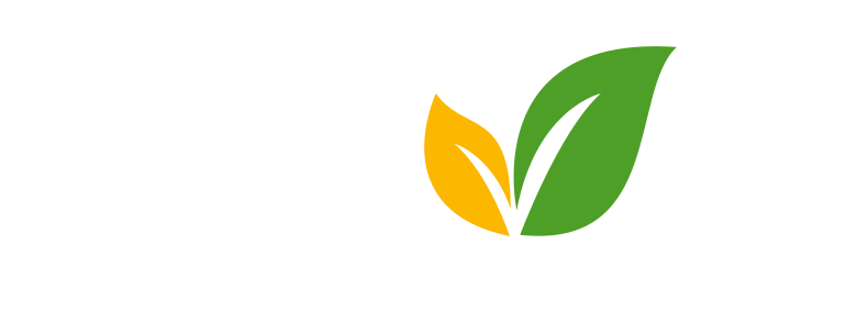 Ahava Biodegradable Tableware